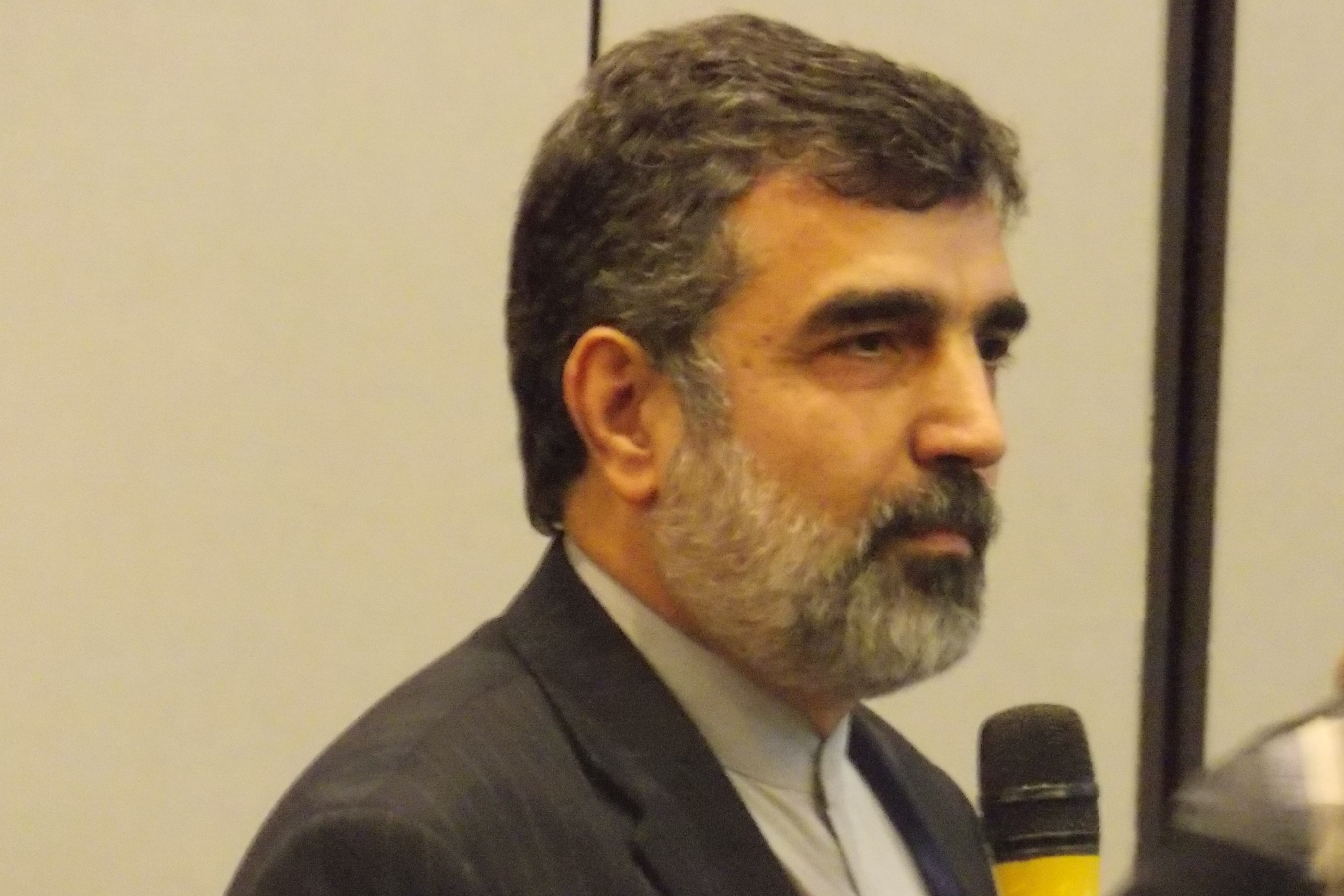 H.E Ambassador B. Kamalvandi